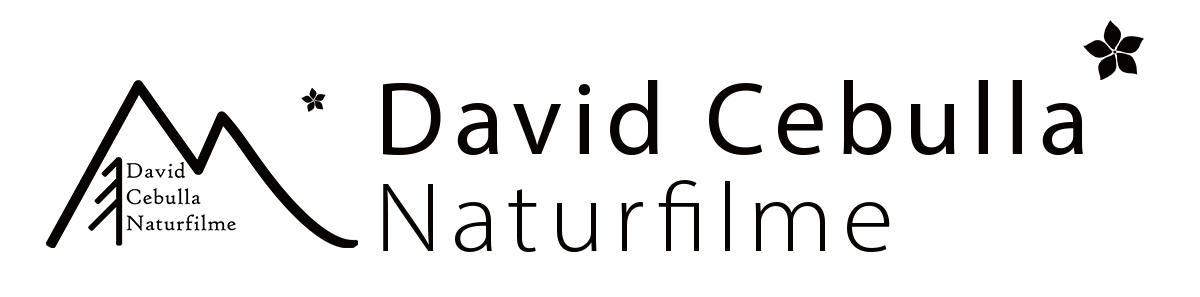 Logo David Cebulla Naturfilme